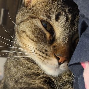 Meet your Posher, Lilly